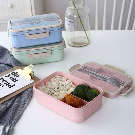 Plastic Mini Lunch Box With Handle – MEAL PREP TUBS